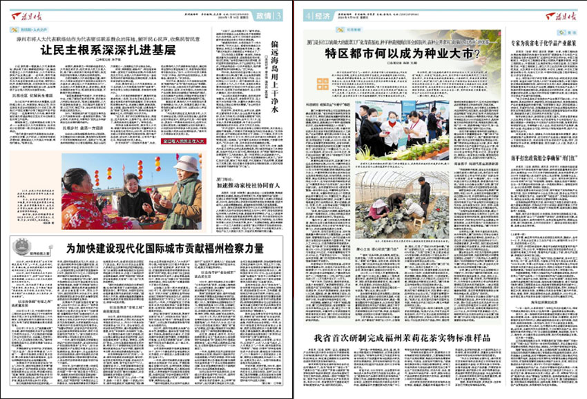 福建日报样刊图片
