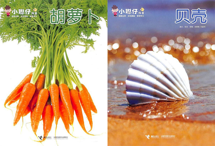 小聪仔样刊图片