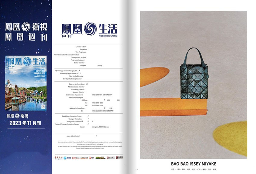 凤凰生活样刊图片