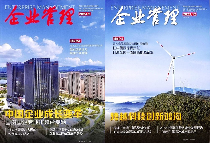 企业管理样刊图片