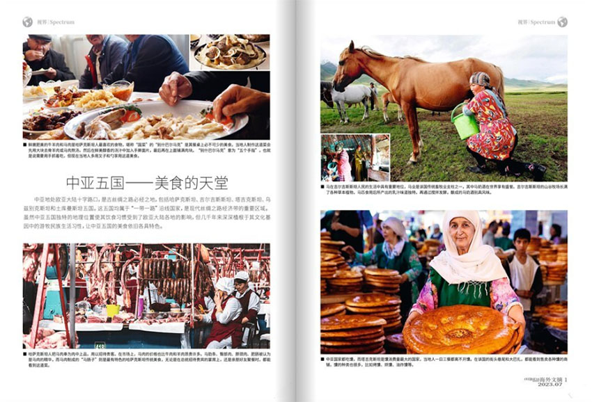 海外文摘样刊图片