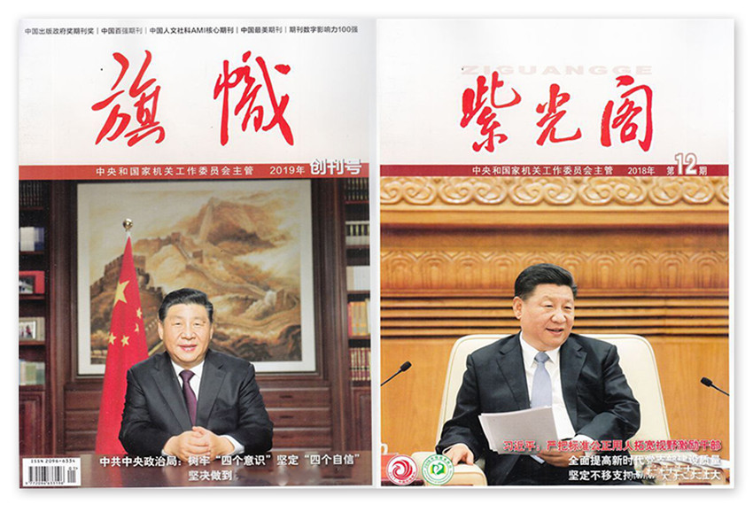 紫光阁样刊图片