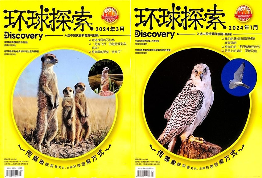 环球探索样刊图片