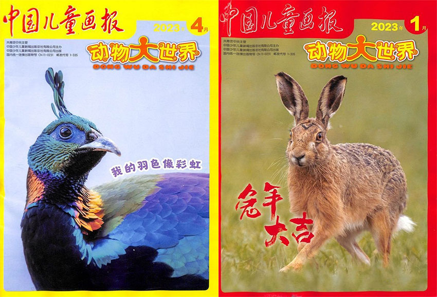 中国儿童画报样刊图片
