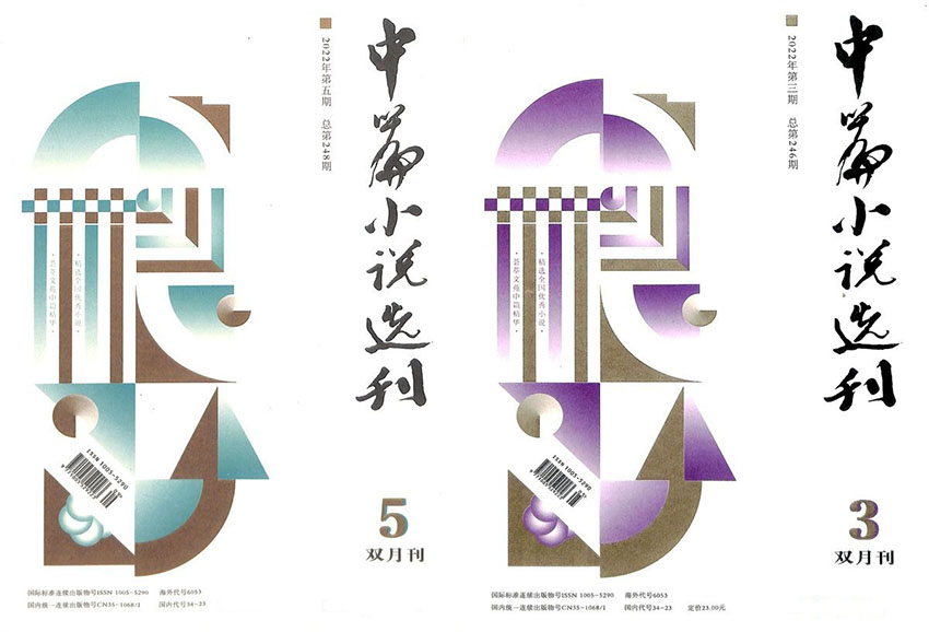中篇小说选刊样刊图片
