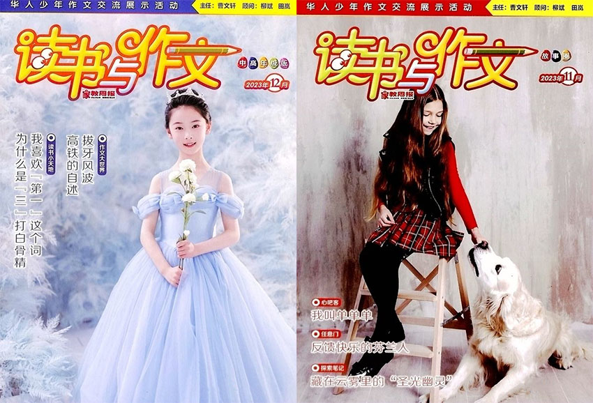 读书与作文样刊图片