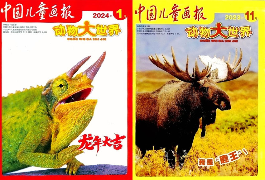 中国儿童画报样刊图片