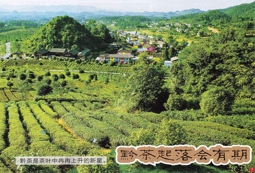旅游样刊图片