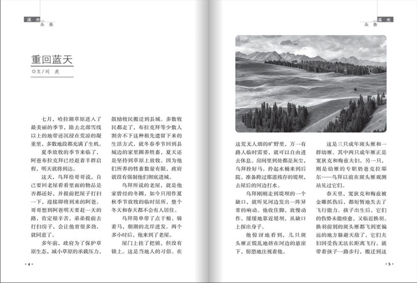 小溪流样刊图片