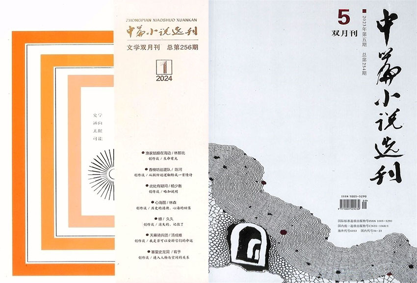 中篇小说选刊样刊图片