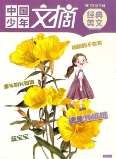 中国少年文摘