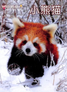 小聪仔杂志