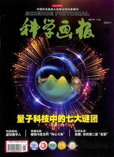 科学画报