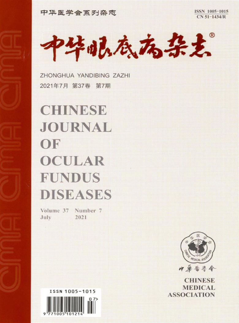 中华眼底病杂志封面