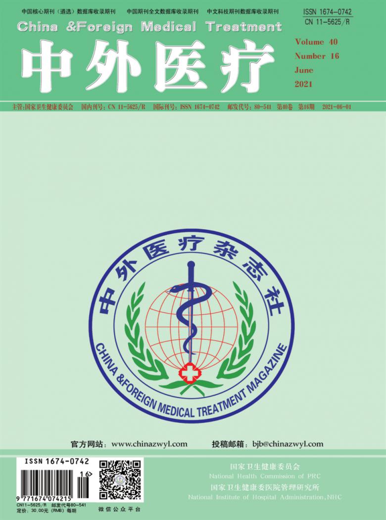 中外医疗杂志封面