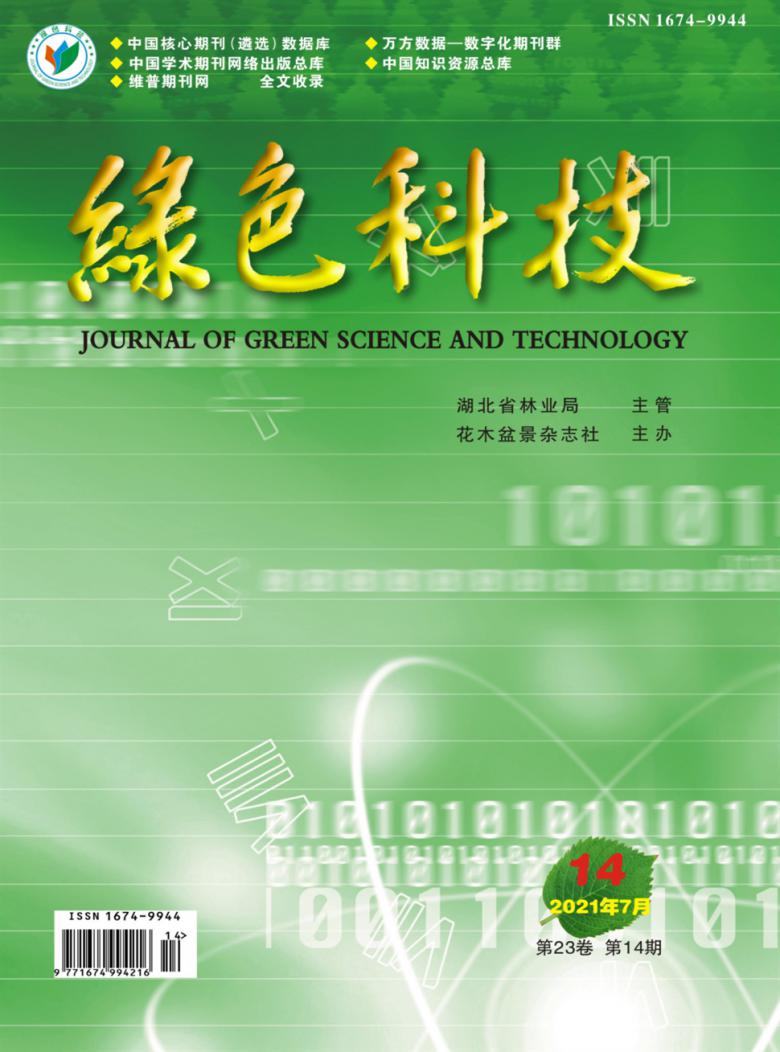 绿色科技杂志封面
