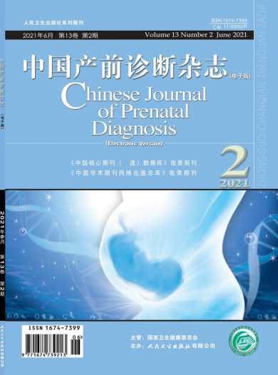中国产前诊断杂志封面