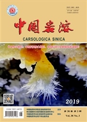 中国岩溶杂志封面