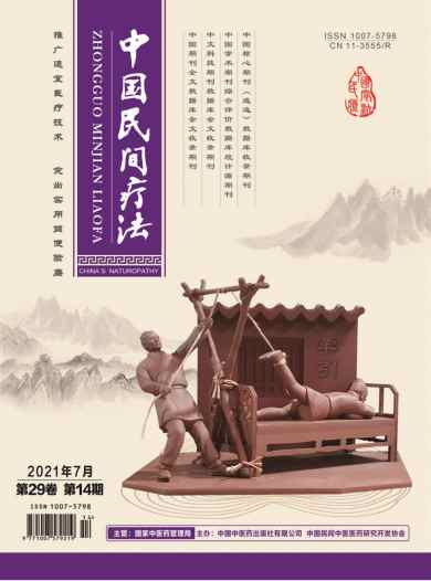 中国民间疗法杂志封面