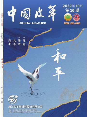 中国皮革杂志封面