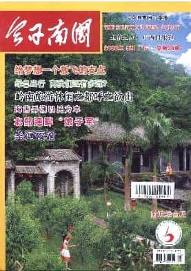 今日南国杂志封面