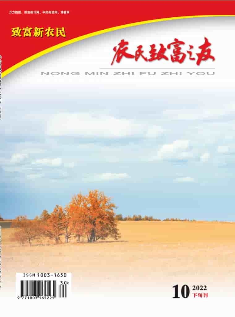 农民致富之友杂志封面