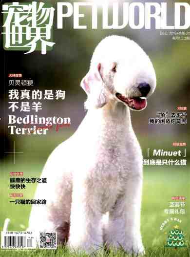 宠物世界杂志封面