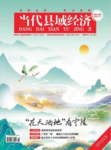 当代县域经济杂志封面