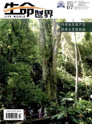 生命世界杂志封面