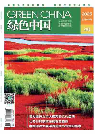 绿色中国杂志封面