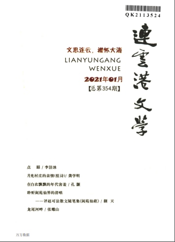 连云港文学杂志封面