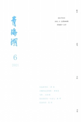 青海湖杂志封面